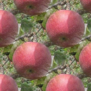 Red Apple Photorealistic Repeat