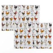 Chickens of the World - fabric, by Rebel Challenger