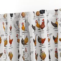 Chickens of the World - fabric, by Rebel Challenger