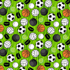 Sports Balls on Green Grass