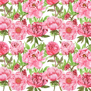 FS Blossom in Elegance: Pink Peony Flower Watercolor Design for Timeless Floral Beauty 