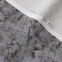 Snowy Grass | Seamless Photorealistic Landscape