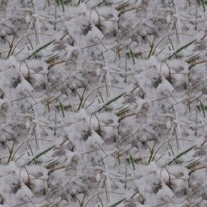 Snowy Grass | Seamless Photorealistic Landscape