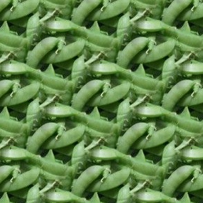 Fresh Picked Peas | Seamless Veggie Photo Print