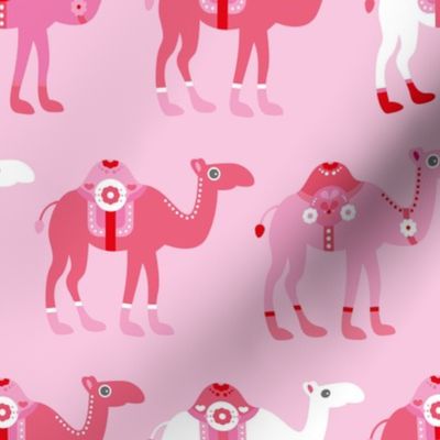 Colorful dromedary arabic summer oriental desert Camel parade pink JUMBO