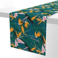 Birds of Paradise