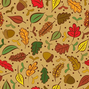 Colorful Autumn Leaves and Acorns