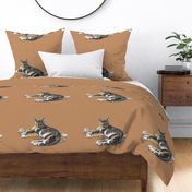 Calico Cat on Brown for Pillow