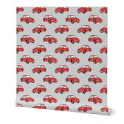 red bugs - (grey) beetle car