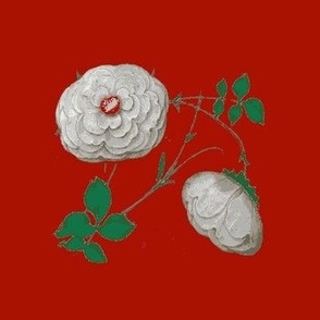 White Roses Turkey Red