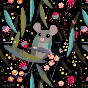Eastern Pygmy Possum by Mount Vic and Me
