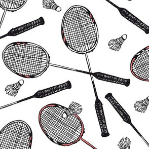 Badminton rackets and shuttlecocks