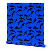 Abstract black shadow on blue Shark School