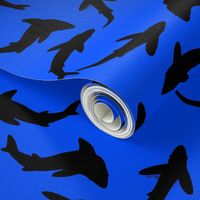 Abstract black shadow on blue Shark School