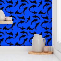 Abstract black shadow on blue Shark School