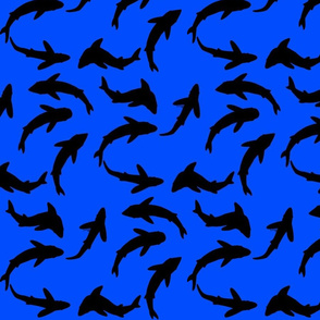 Abstract black shadow on blue Shark School