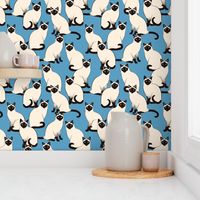 Siamese Cats Crowd on blue (Large scale)