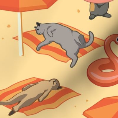 Cats Sunbathing on a Beach Towels