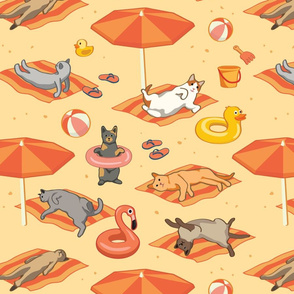 Cats Sunbathing on a Beach Towels