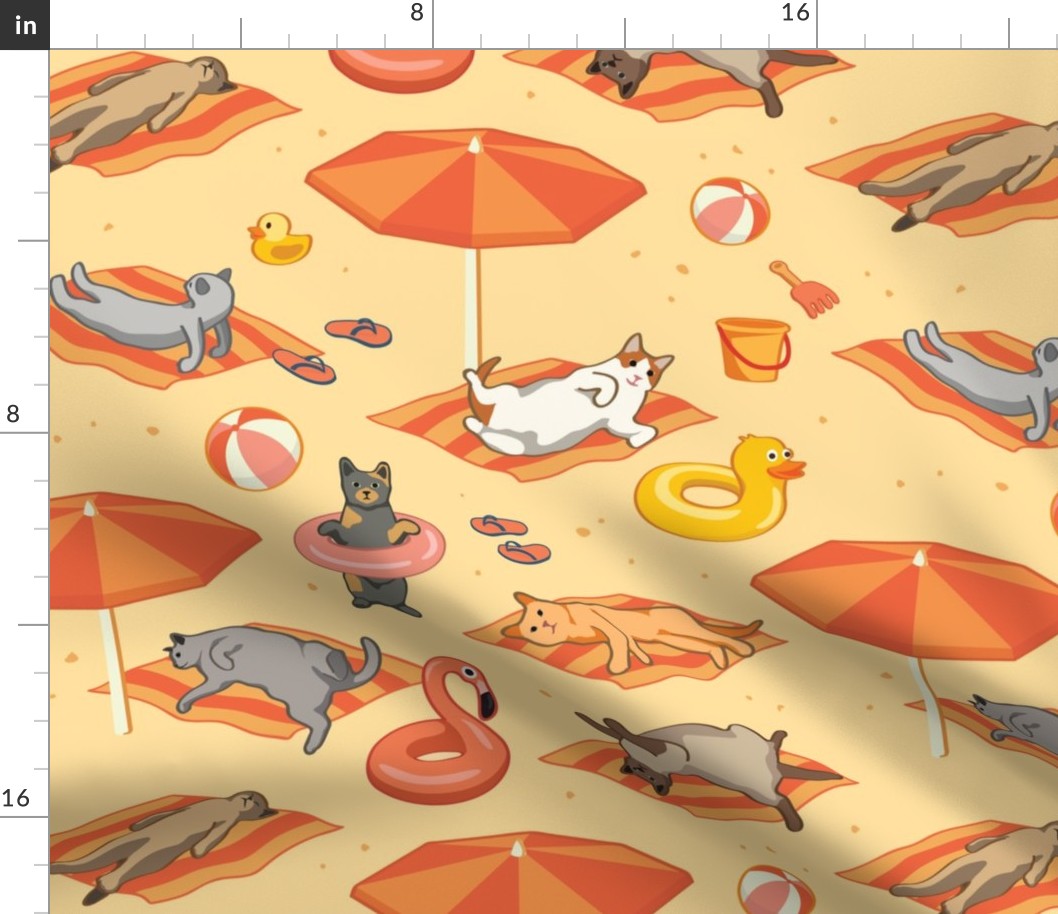 Cats Sunbathing on a Beach Towels