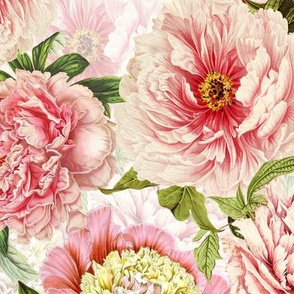 24" Pierre-Joseph Redouté Antique Blush Peonies Pattern