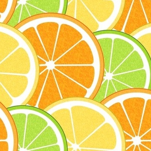 Bright Citrus Fruit Slices