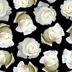 White Digital Roses on Black