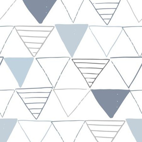 Geometric Flags in Blue