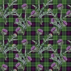 Feochadan Tartan mini