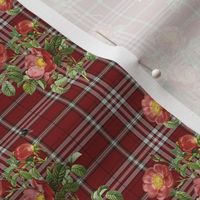 Wild Rose Tartan mini