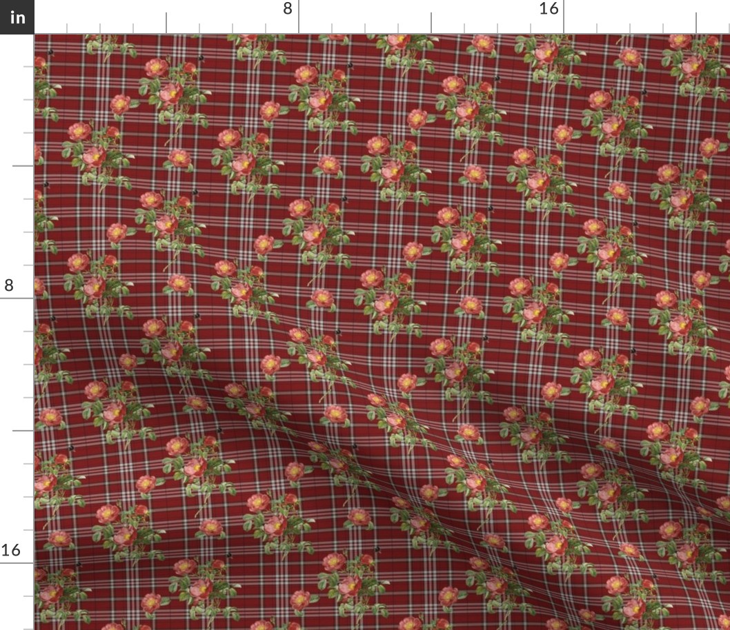 Wild Rose Tartan mini