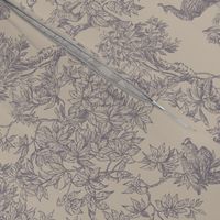 Sinharaja toile, tan