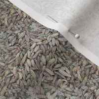 Fennel Seed | Seamless Photo Print