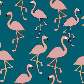 flamingoes 