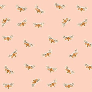 Moth in Soft Peach