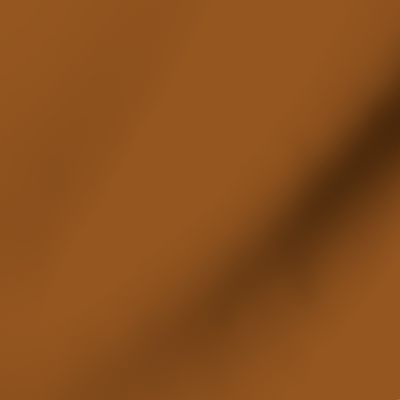 Orange Brown Terracotta #96561f