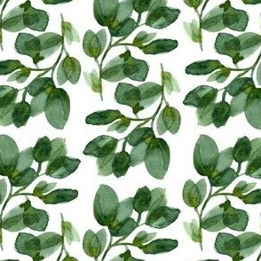 Green watercolor eucalyptus branch