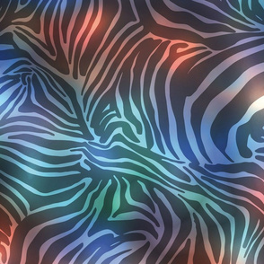 Discozebra