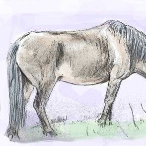 Pony Grazing