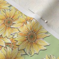 Hand-drawn Sunflower Stripe