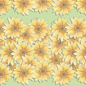 Hand-drawn Sunflower Stripe