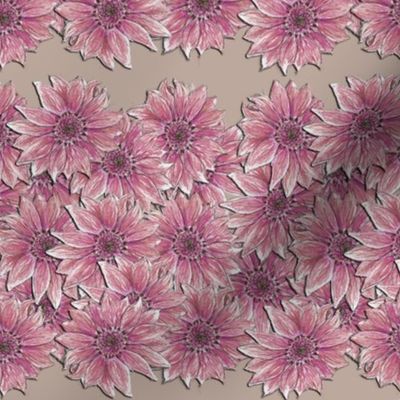 Pink Sunflower Stripe