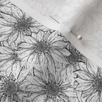 Black and White Sunflowers Allover