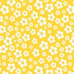 Sunshine yellow daisy