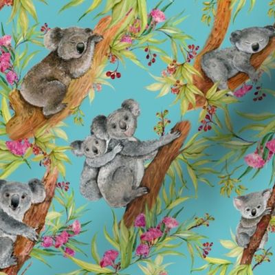 cute koalas