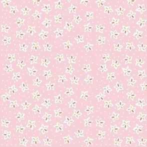 Carnival Candy Pink 1 // standard