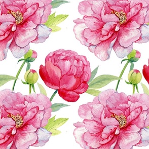 peonies watercolor