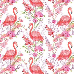 flamingos and orchids