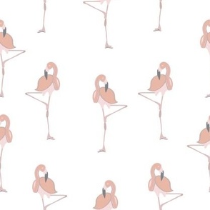 Small Coral Flamingos