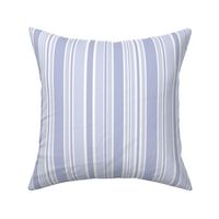 Two Tone Periwinkle Vertical Stripes